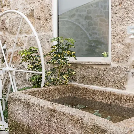 Olivia Santo Ildefonso 7 * Porto